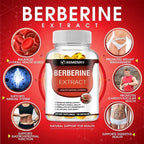 Berberine Capsules for Bone, Cardiovascular Health, Enhance Immunity