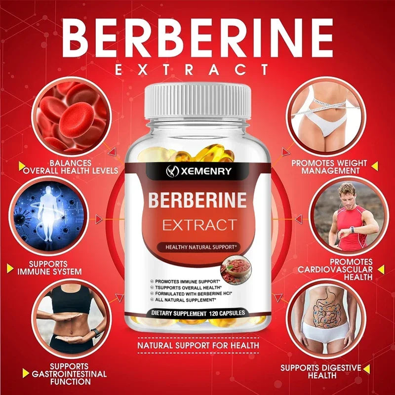 Berberine Capsules for Bone, Cardiovascular Health, Enhance Immunity