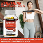 Berberine Capsules for Bone, Cardiovascular Health, Enhance Immunity