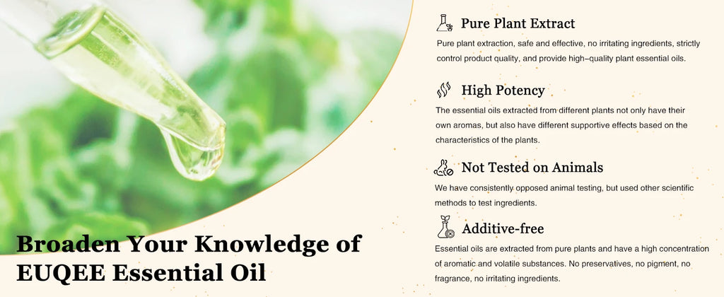 EUQEE 10ML Natural Essential Oils For Humidifier, Soap, Candle Making