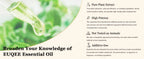 EUQEE 10ML Natural Essential Oils For Humidifier, Soap, Candle Making