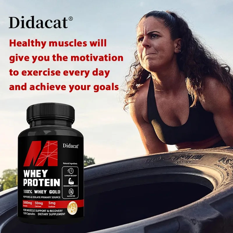 Didacat Whey Protein Concentrate