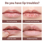 Black Honey Lipstick Long Lasting Moisturizing Lip Plumper Gloss