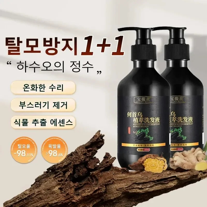 Herbal Polygonum Multiflorum Shampoo Oil Control Dandruff Control Itchy Relief Men/ Women