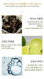 Herbal Polygonum Multiflorum Shampoo Oil Control Dandruff Control Itchy Relief Men/ Women