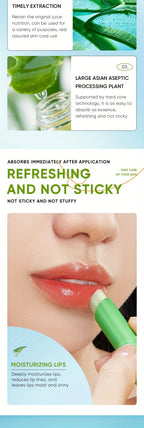 Aloe Balm Nourishing Refreshing Hydrating Moisturizing