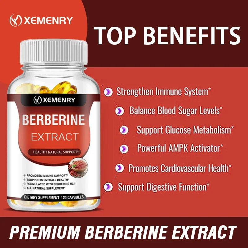 Berberine Capsules for Bone, Cardiovascular Health, Enhance Immunity
