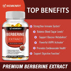 Berberine Capsules for Bone, Cardiovascular Health, Enhance Immunity