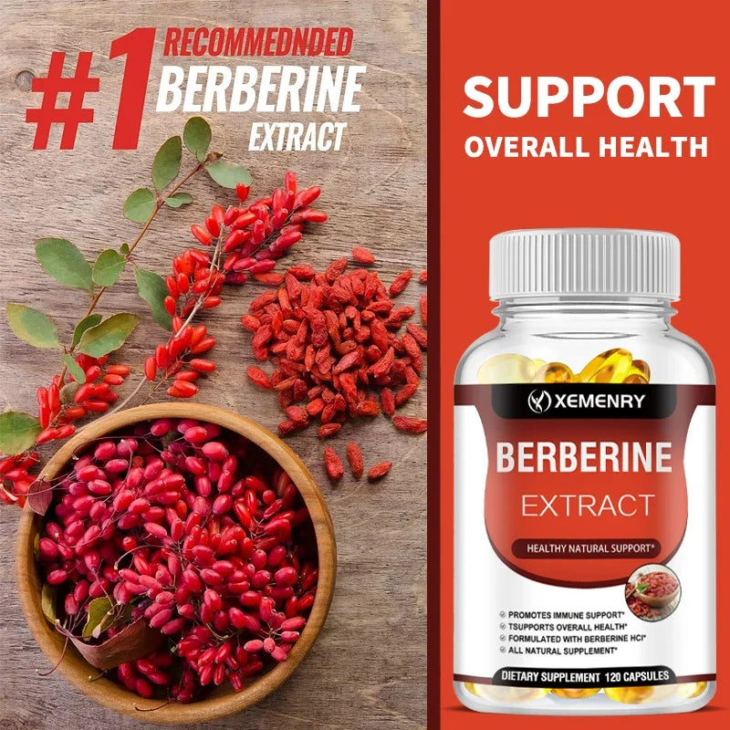Berberine Capsules for Bone, Cardiovascular Health, Enhance Immunity