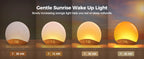 Wood Grain Sunrise Alarm Clock Sound Machine Nightlight Digital Dimmable for Bedroom 26 Sleep Sounds Baby Adults Kids