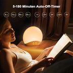 Wood Grain Sunrise Alarm Clock Sound Machine Nightlight Digital Dimmable for Bedroom 26 Sleep Sounds Baby Adults Kids