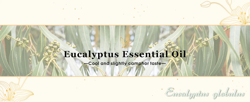 EUQEE 10ML Natural Essential Oils For Humidifier, Soap, Candle Making