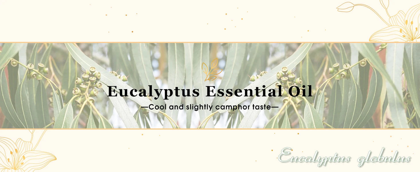 EUQEE 10ML Natural Essential Oils For Humidifier, Soap, Candle Making