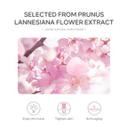 Sakura Sunscreen Cream SPF50 Moisturizing UV Protect Face Body Lotion Oil Control Reduce Melanin