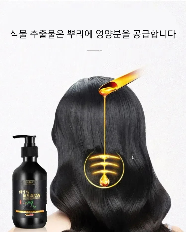 Herbal Polygonum Multiflorum Shampoo Oil Control Dandruff Control Itchy Relief Men/ Women