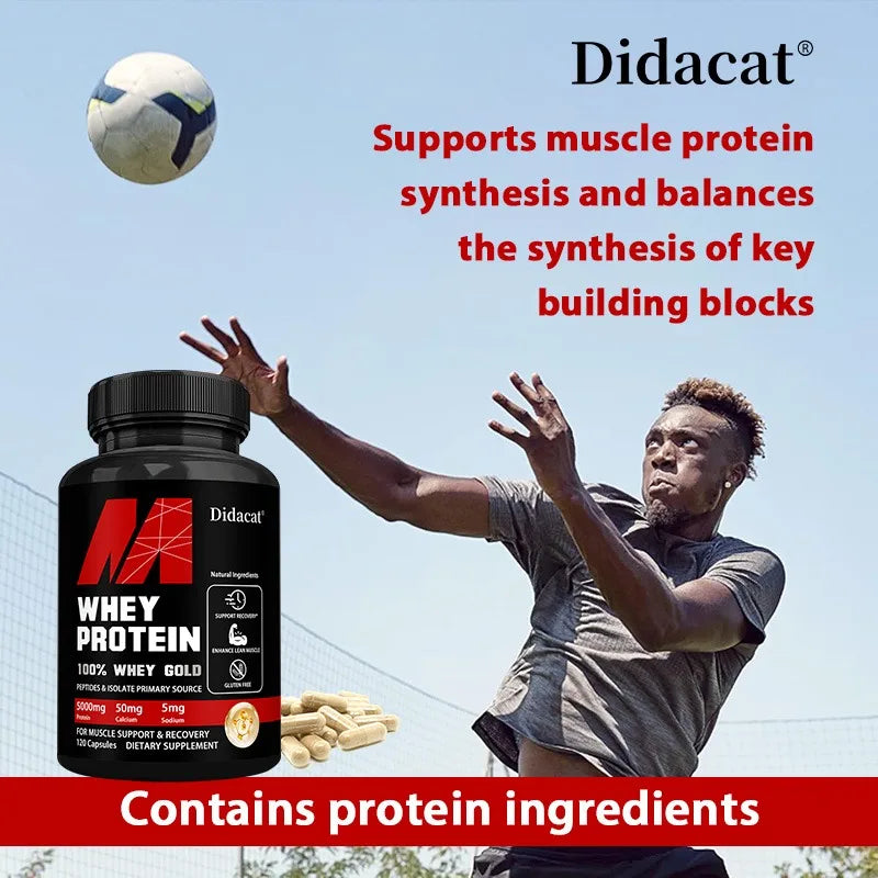 Didacat Whey Protein Concentrate