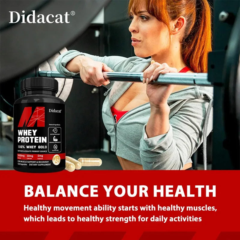 Didacat Whey Protein Concentrate