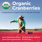 Cranberry Capsules Supports Cardiovascular Health Enhances Immunity Supports Urinary Tract Health