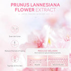 5/3pcs Sakura Skin Care Sets Gift Box