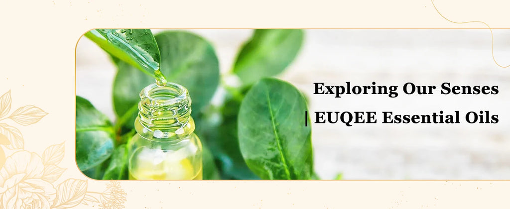 EUQEE 10ML Natural Essential Oils For Humidifier, Soap, Candle Making