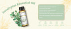 EUQEE 10ML Natural Essential Oils For Humidifier, Soap, Candle Making
