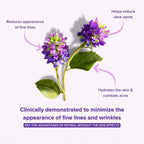 Anti-Aging Bakuchiol Eye Serum